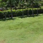 WhatsApp Image 2019-05-10 at 10.25.29 PM