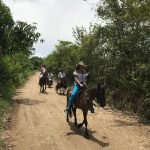 WhatsApp Image 2019-05-18 at 12.11.21 PM (1)