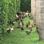 WhatsApp Image 2019-05-18 at 12.11.22 PM (1)