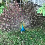 WhatsApp Image 2019-05-18 at 12.11.22 PM (2)