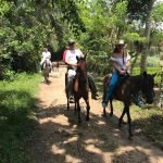 WhatsApp Image 2019-05-18 at 12.13.11 PM